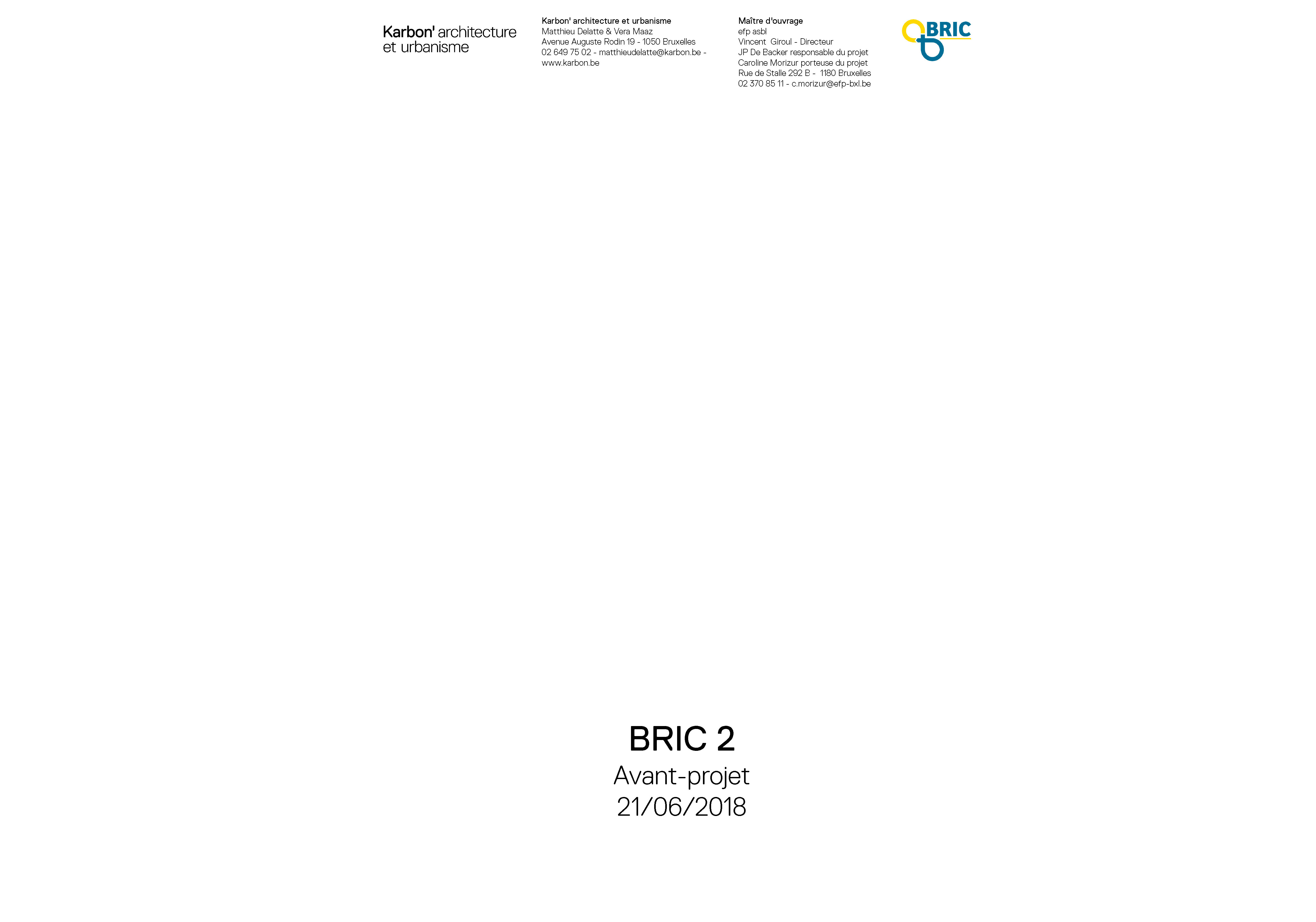 BRIC 2 01